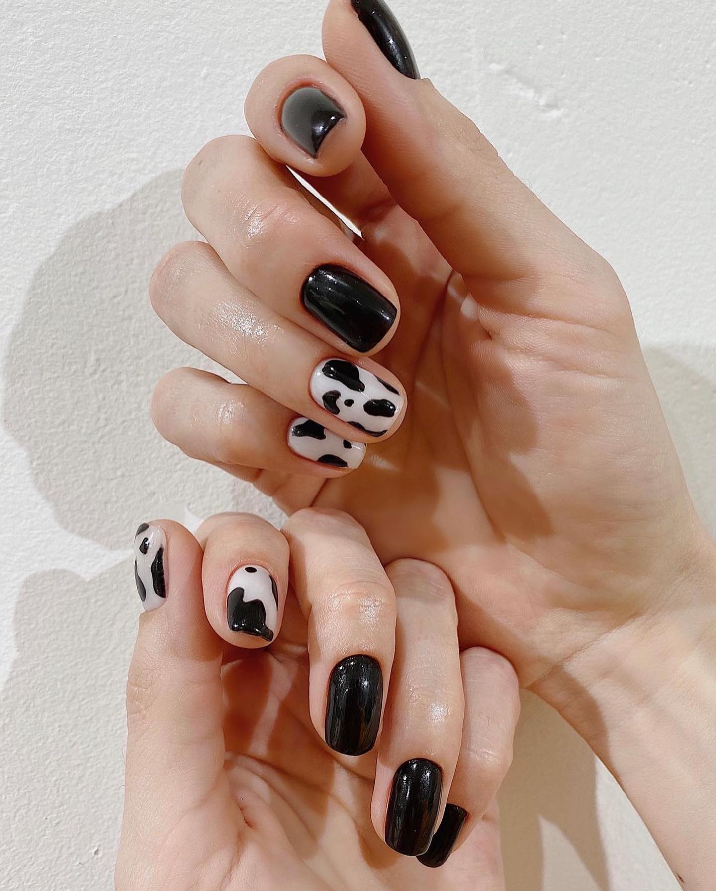 Glossy black nails mixed with cow-print accents